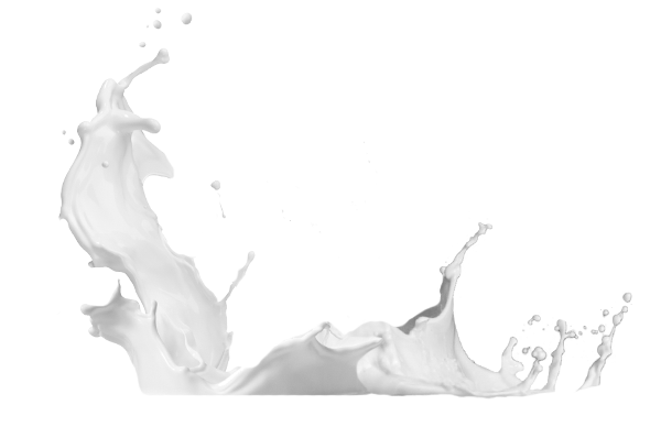 Dirty Devil Bike Cleaning Products